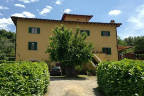 La casa dei nonni- Tuscany countryside